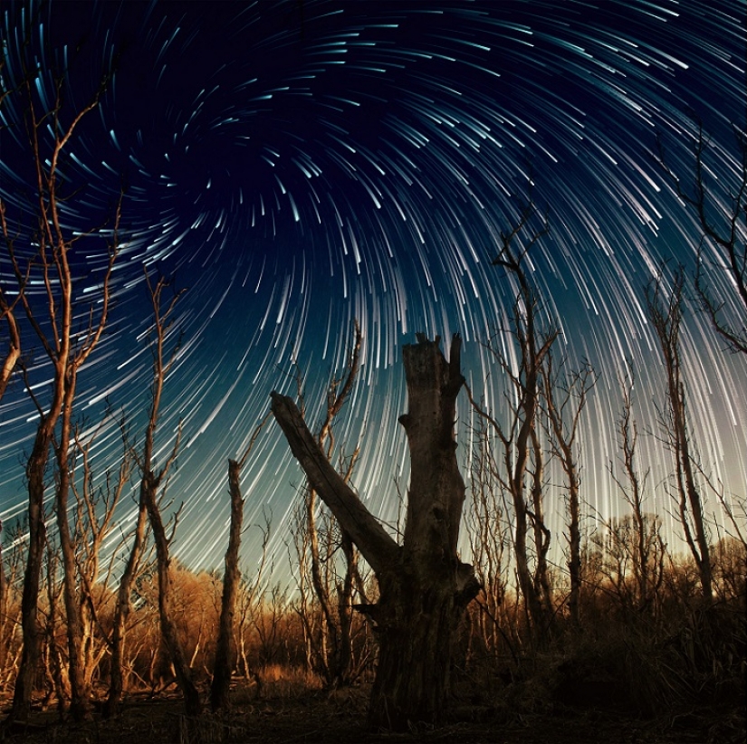 La estrella de embudo La estrella de embudo