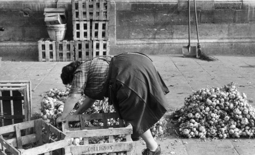 La historia de los libros de texto de Marc Ribot