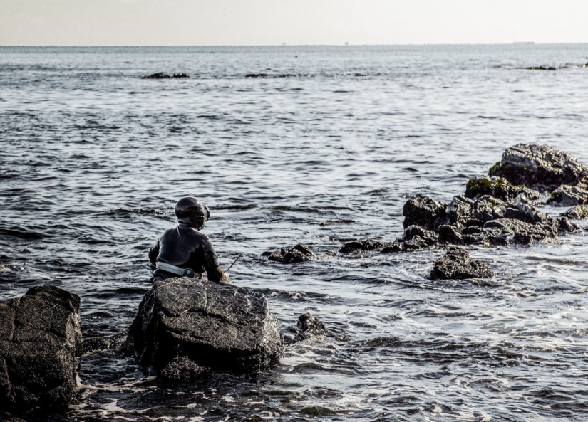 La última generación de la coreana de las sirenas La última generación de la coreana de las sirenas