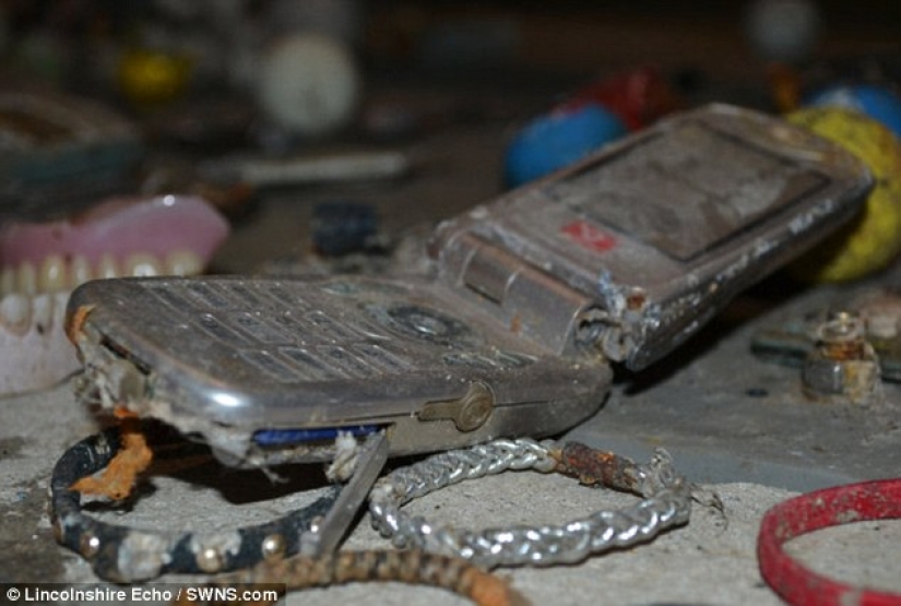 La mayoría de las cosas inesperadas que accidentalmente y no del todo tirado por el retrete