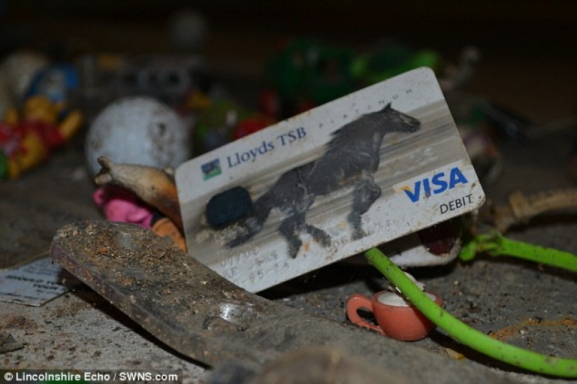 La mayoría de las cosas inesperadas que accidentalmente y no del todo tirado por el retrete