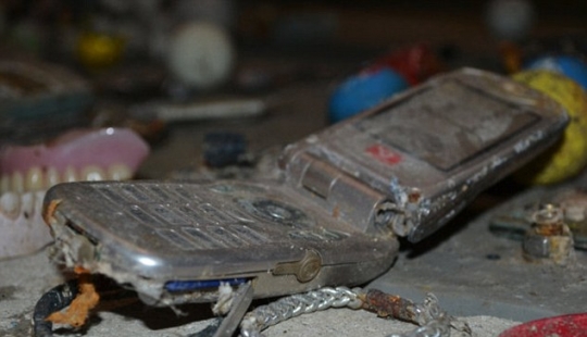 La mayoría de las cosas inesperadas que accidentalmente y no del todo tirado por el retrete