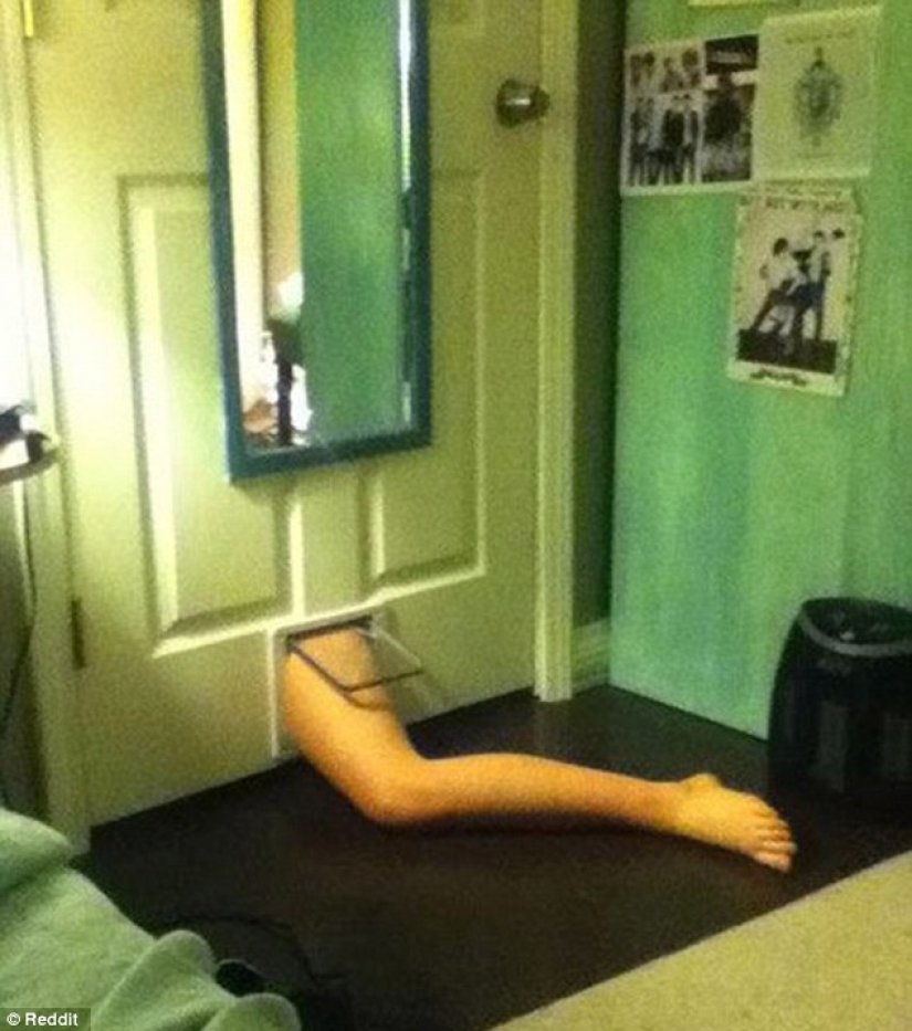 La mayoría de los idiotas borrachos cosas de acuerdo a los usuarios de Reddit