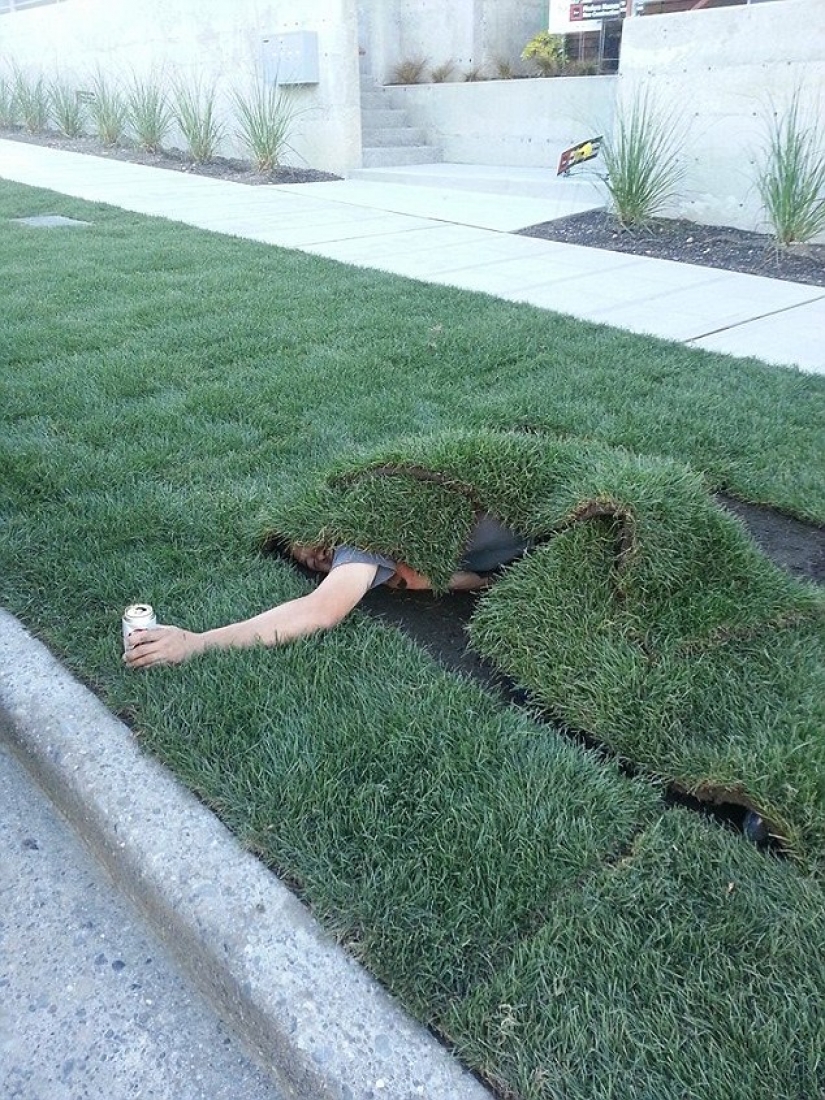 La mayoría de los idiotas borrachos cosas de acuerdo a los usuarios de Reddit