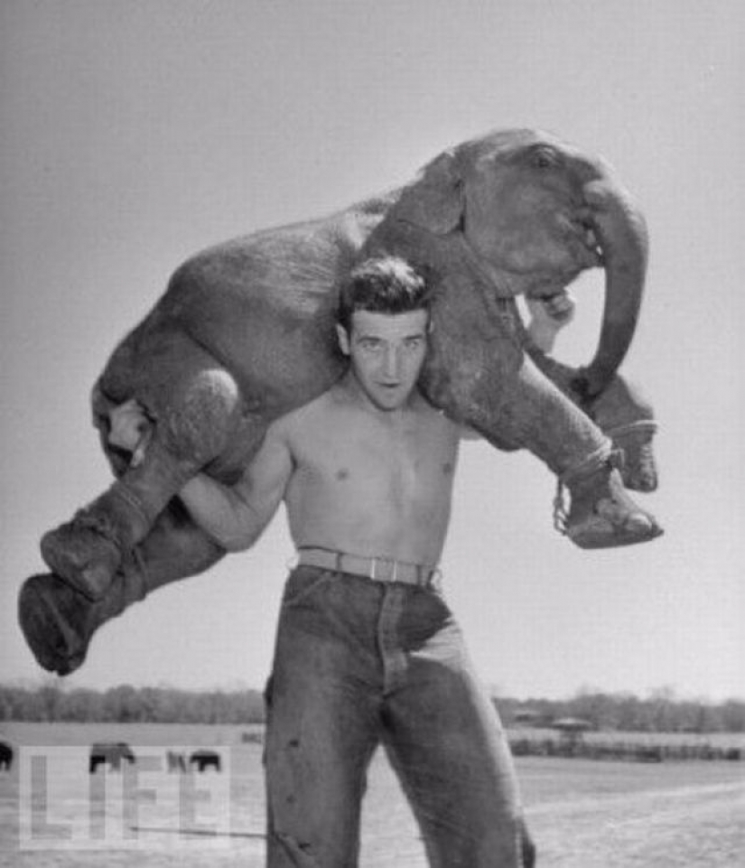 La muerte desafiando acrobacias locas en retrofuture