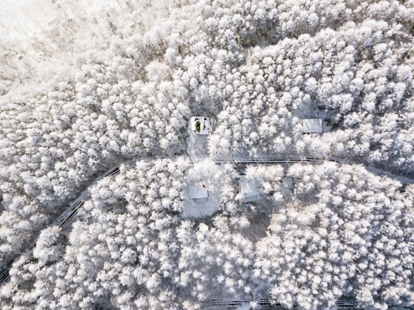 La nieve cuento: un increíblemente hermoso invierno en Japón La nieve cuento: un increíblemente hermoso invierno en Japón