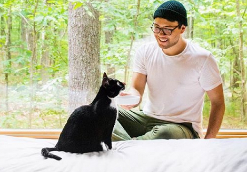 La princesa Chito: la vida creativa de la mayoría ordinaria de los gatos