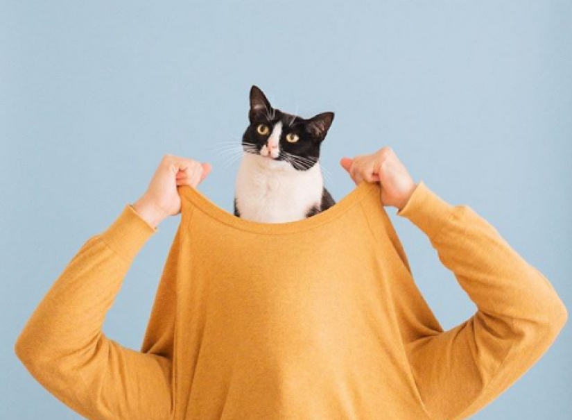 La princesa Chito: la vida creativa de la mayoría ordinaria de los gatos