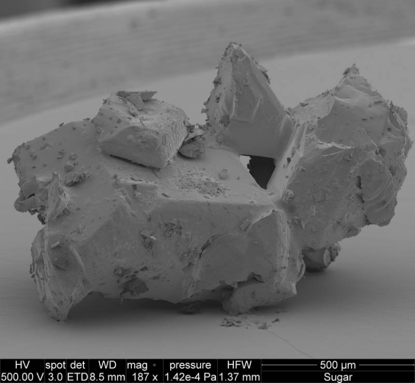 Las fotos tomadas con un microscopio electrónico Las fotos tomadas con un microscopio electrónico