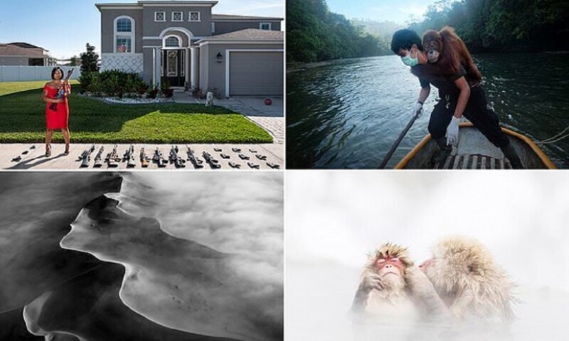 Las mejores obras del concurso de Fotografía Premio AllAbout 2020 Las mejores obras del concurso de Fotografía Premio AllAbout 2020