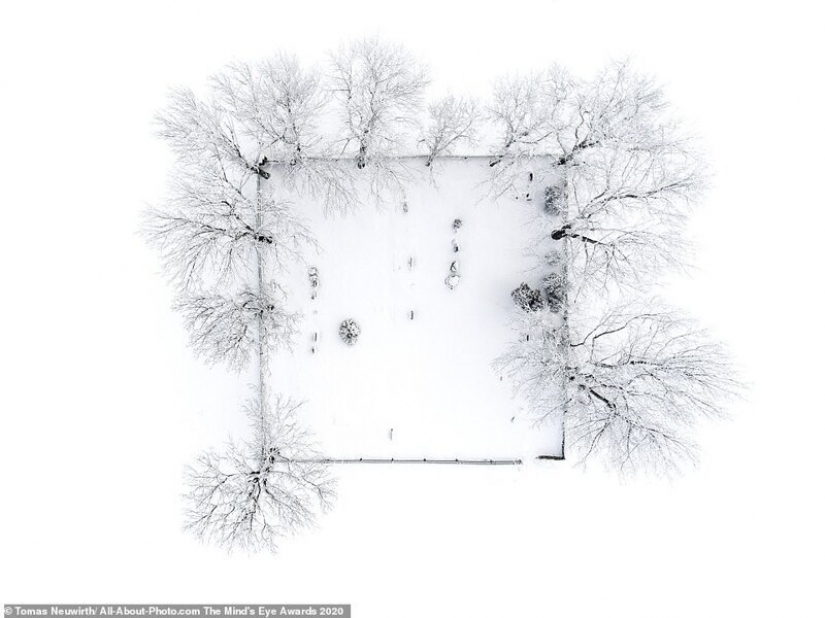 Las mejores obras del concurso de Fotografía Premio AllAbout 2020 Las mejores obras del concurso de Fotografía Premio AllAbout 2020