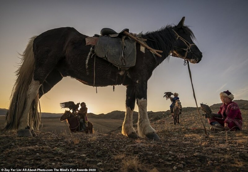 Las mejores obras del concurso de Fotografía Premio AllAbout 2020 Las mejores obras del concurso de Fotografía Premio AllAbout 2020