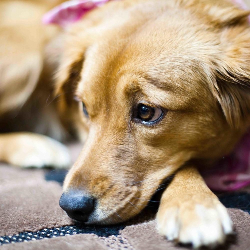 Las personas con sus propias pesadillas de todo el mundo Las personas con sus propias pesadillas de todo el mundo