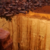 Las sorpresas de la naturaleza: estos realista fotos que desea mirar dos veces