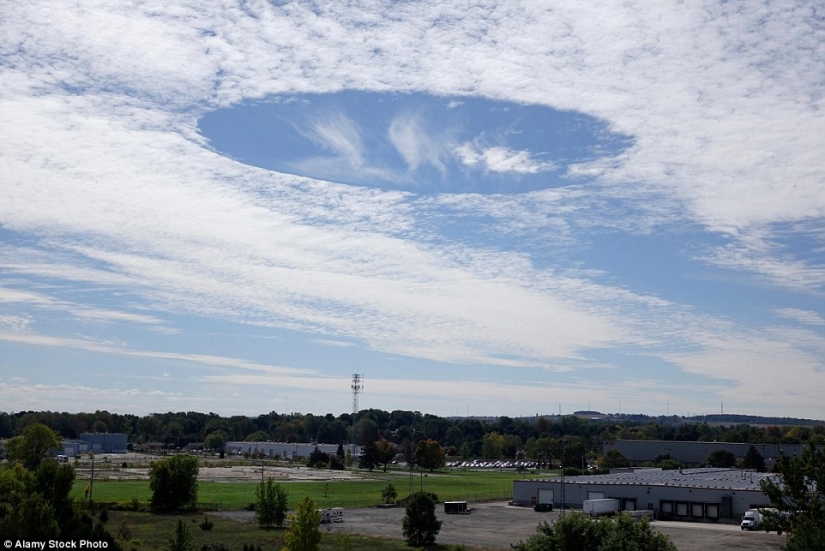 Las sorpresas de la naturaleza: estos realista fotos que desea mirar dos veces
