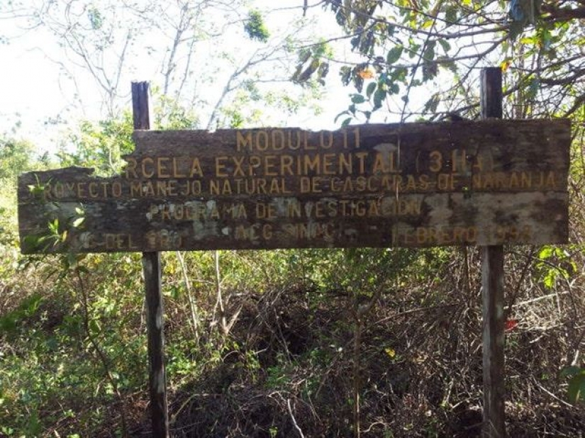 Like a bunch of orange peels changed the ecosystem in Central America Like a bunch of orange peels changed the ecosystem in Central America