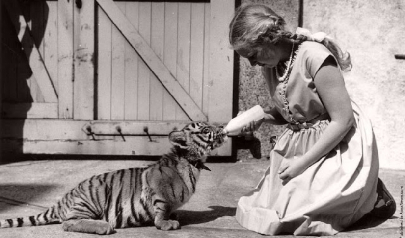 Like beasts of the nineteenth century people were friends Like beasts of the nineteenth century people were friends