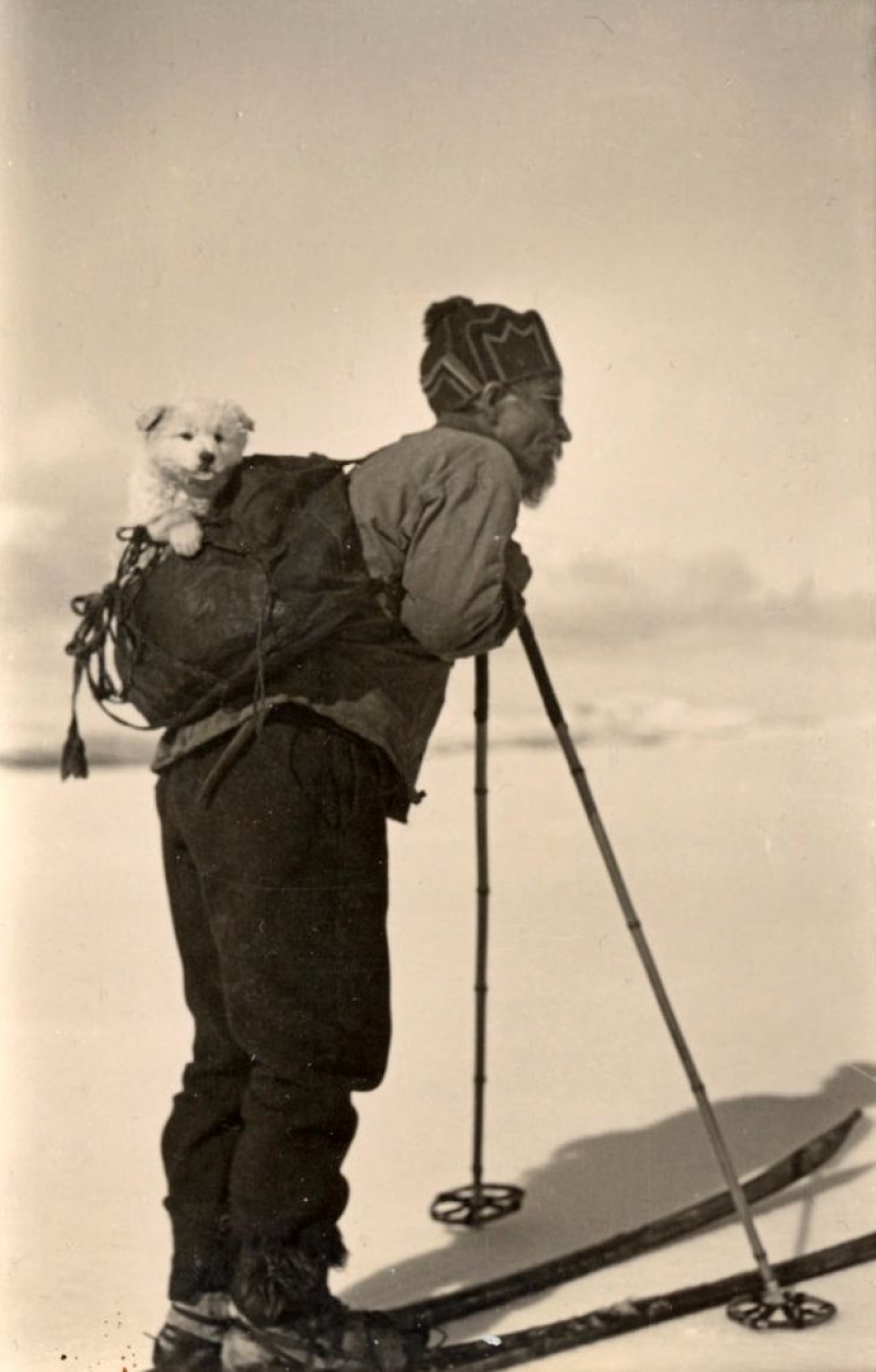 Like beasts of the nineteenth century people were friends Like beasts of the nineteenth century people were friends