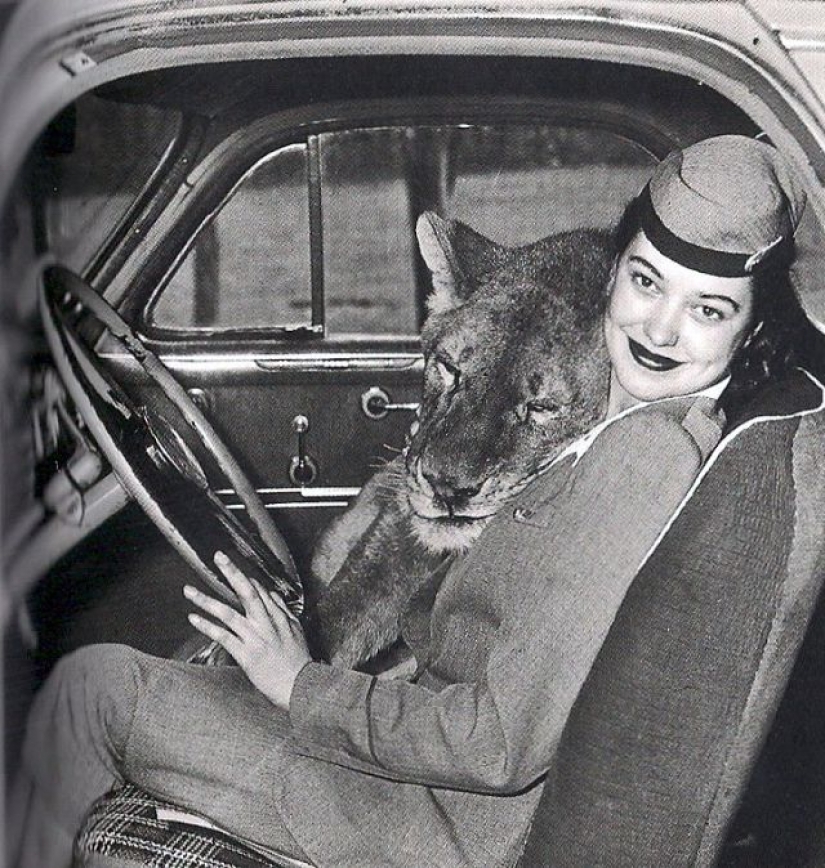 Like beasts of the nineteenth century people were friends Like beasts of the nineteenth century people were friends