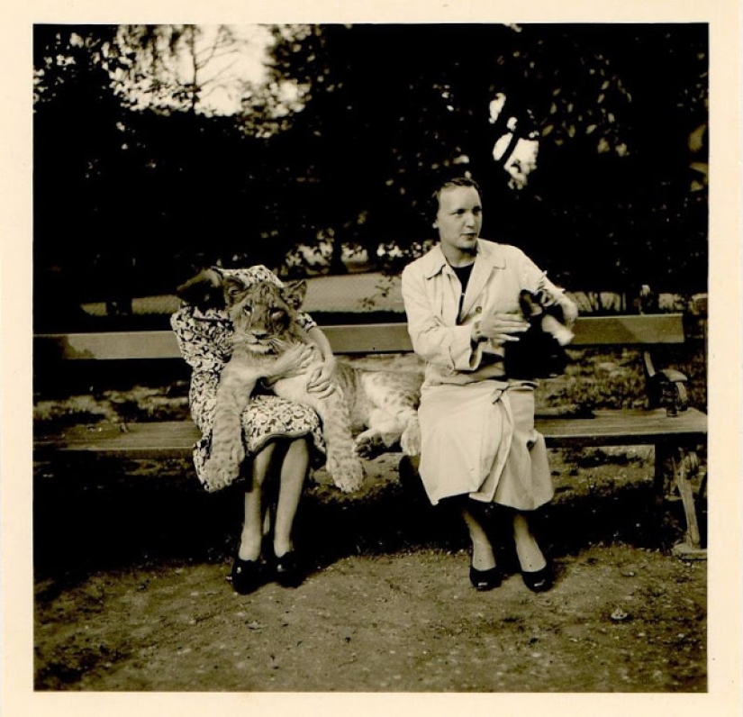 Like beasts of the nineteenth century people were friends Like beasts of the nineteenth century people were friends