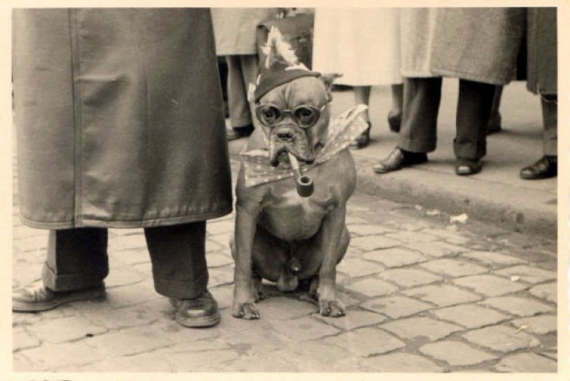 Like beasts of the nineteenth century people were friends Like beasts of the nineteenth century people were friends