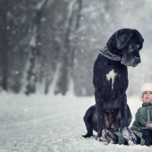 Little children of St. Petersburg and their huge four-legged friends