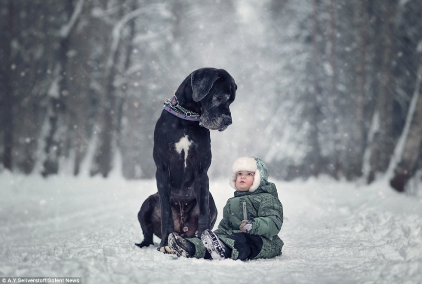 Little children of St. Petersburg and their huge four-legged friends