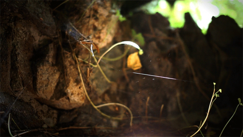 Live pictures of Julien Duvie Live pictures of Julien Duvie