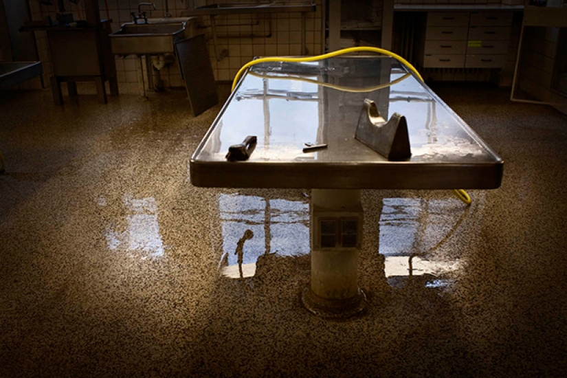 Lo que sucede a una persona después de que él muera Lo que sucede a una persona después de que él muera