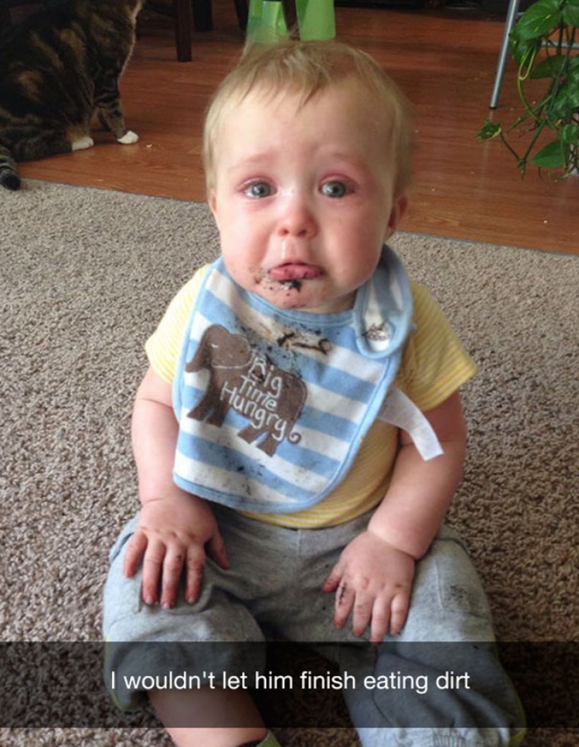 Lo siento por el ave: la más estúpida razón de las lágrimas de los niños Lo siento por el ave: la más estúpida razón de las lágrimas de los niños