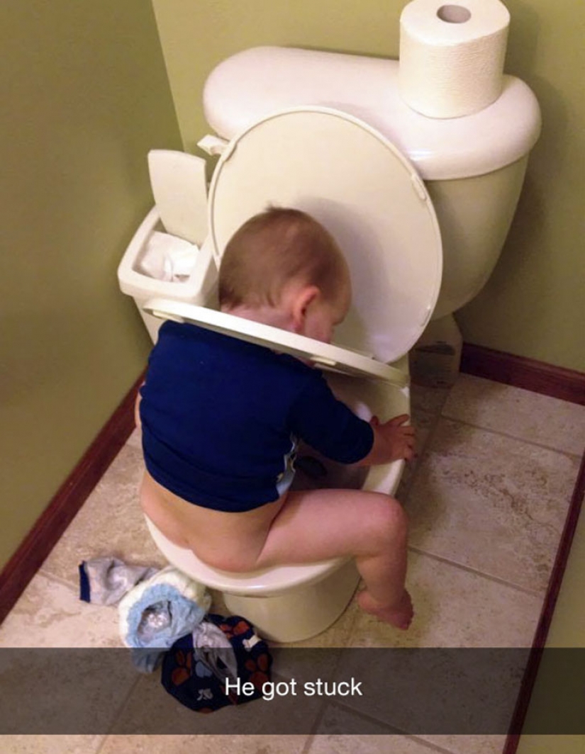 Lo siento por el ave: la más estúpida razón de las lágrimas de los niños Lo siento por el ave: la más estúpida razón de las lágrimas de los niños