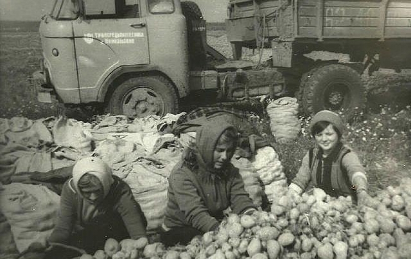 Looked like a freshman then and now Looked like a freshman then and now