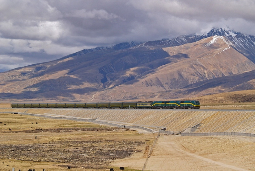 Los Chinos construyeron un ferrocarril para el Tíbet Los Chinos construyeron un ferrocarril para el Tíbet