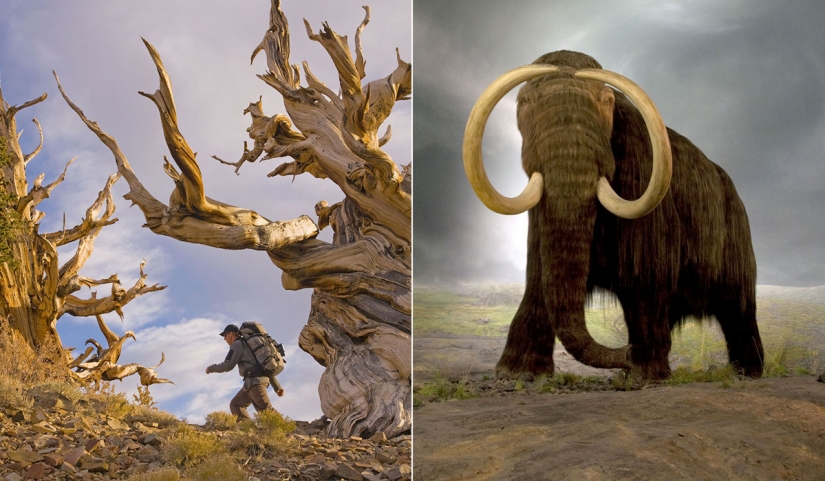 Los hechos históricos que los obligará a tomar otra mirada en el concepto de tiempo