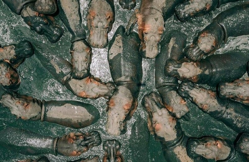 Los milagros del cielo: las 12 mejores fotos del concurso de drone fotos Los milagros del cielo: las 12 mejores fotos del concurso de drone fotos