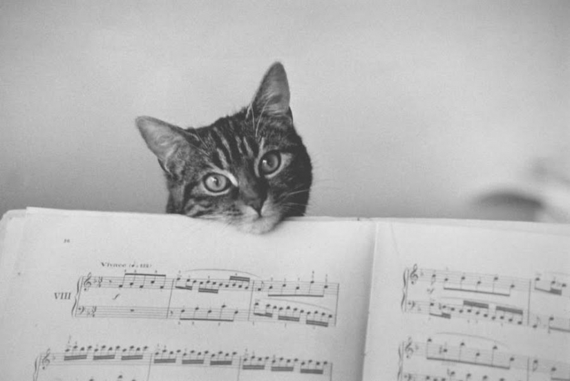 Los secretos de los grandes maestros de la fotografía: la poesía de marcos de Edward Buba