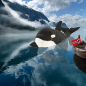 Lost Teddy elephant travels the world