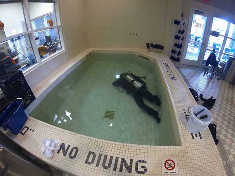 Mamá AMA penal: estos valientes chicos no se preocupan por cualquiera de las reglas y prohibiciones