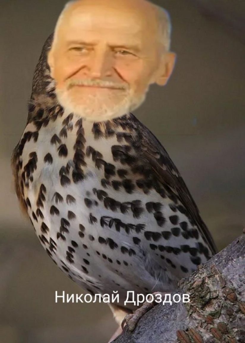 Marmeladze and Karawatha: Twitter Russian stars turn into food