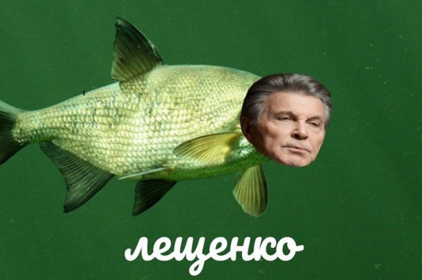 Marmeladze and Karawatha: Twitter Russian stars turn into food