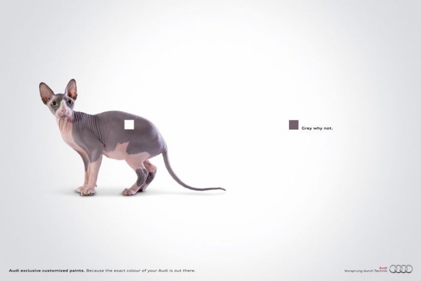 Meow! 15 ejemplos de divertido y lindo gato publicidad