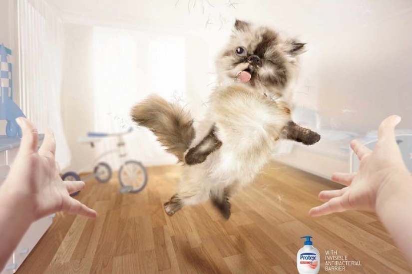 Meow! 15 ejemplos de divertido y lindo gato publicidad