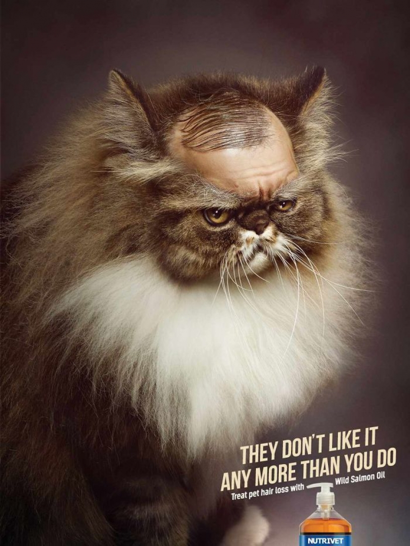 Meow! 15 ejemplos de divertido y lindo gato publicidad