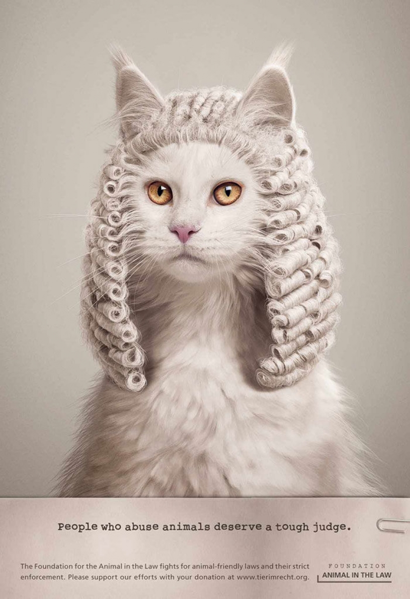Meow! 15 ejemplos de divertido y lindo gato publicidad