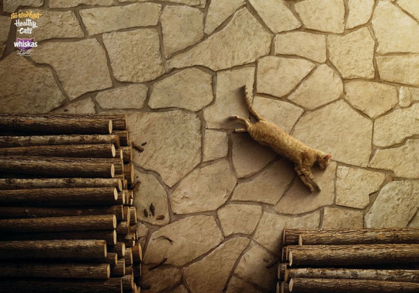 Meow! 15 ejemplos de divertido y lindo gato publicidad