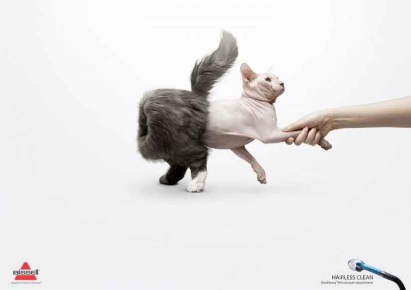 Meow! 15 ejemplos de divertido y lindo gato publicidad