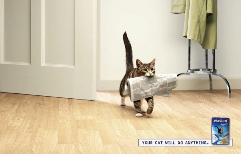 Meow! 15 ejemplos de divertido y lindo gato publicidad