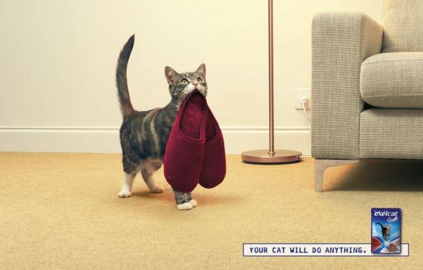 Meow! 15 ejemplos de divertido y lindo gato publicidad