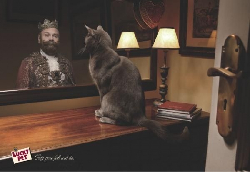 Meow! 15 ejemplos de divertido y lindo gato publicidad