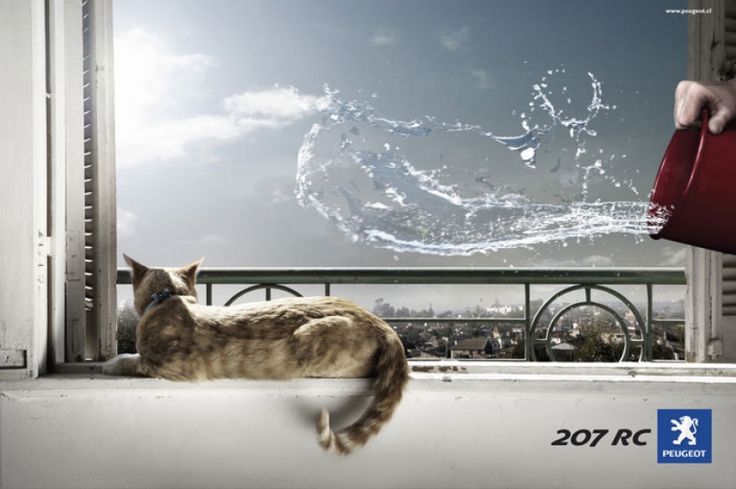 Meow! 15 examples of funny and cute cat advertising